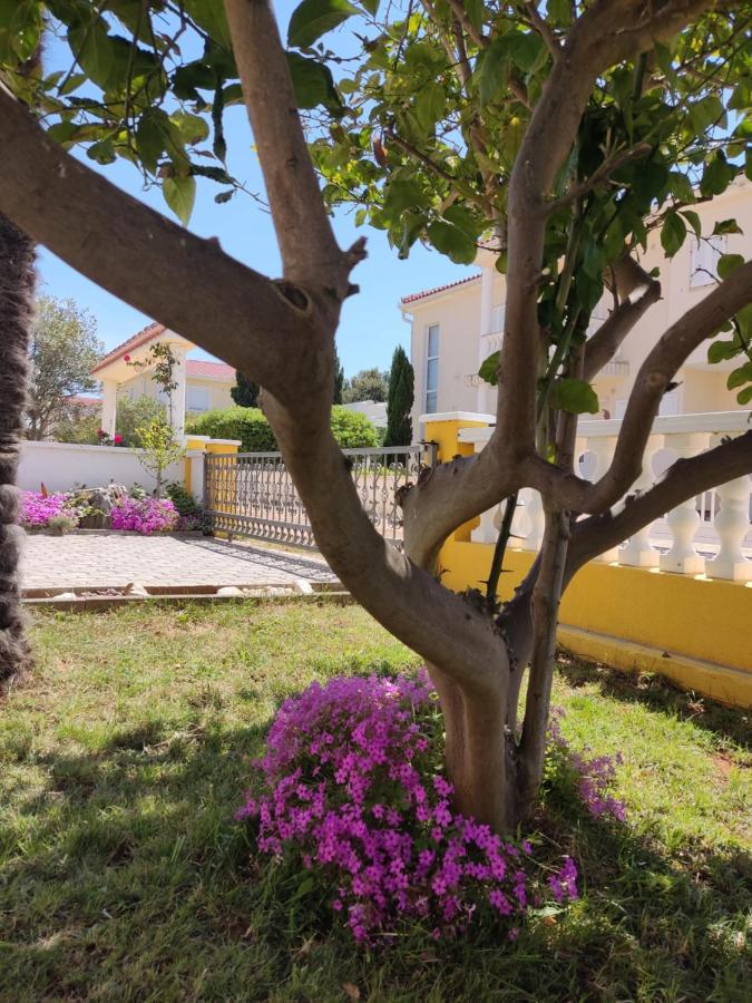 Apartman Car Vir Exterior foto